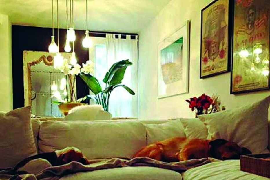 príncipe Harry, Canadá, Toronto, residência, Meghan