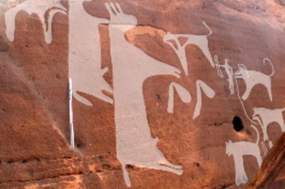 Cães já eram 'o melhor amigo do homem' há oito mil anos