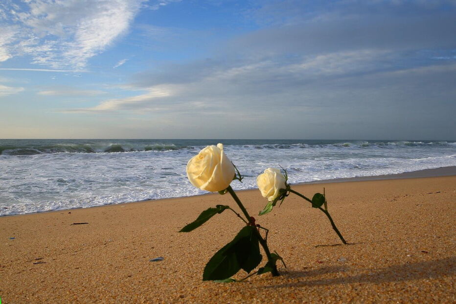 2017-12-15_22_47.43 M2-15163582.JPG