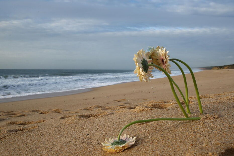 2017-12-15_22_47.44 M2-15163583.JPG