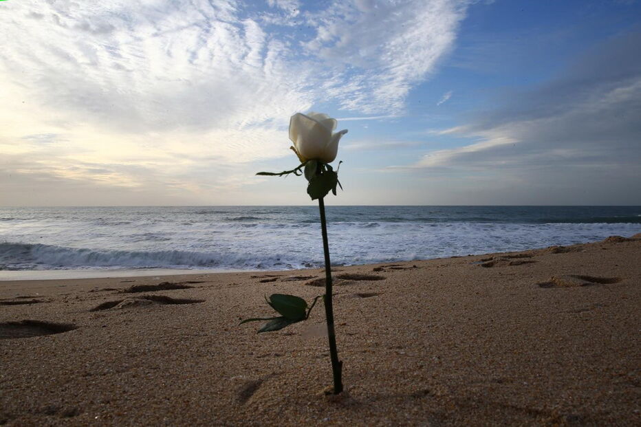 2017-12-15_22_47.46 M2-15163585.JPG