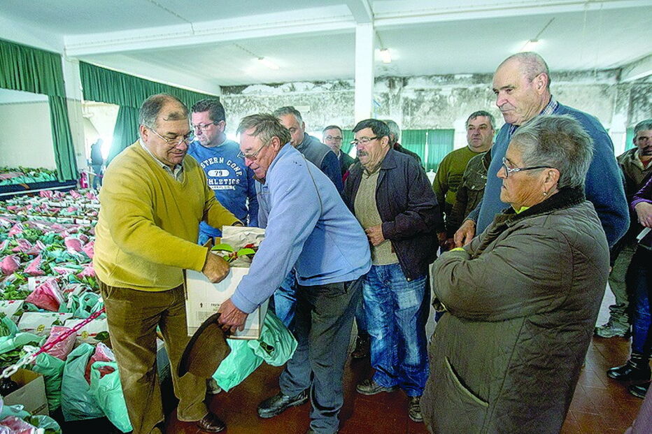 Famílias afetadas pelos fogos recebem cabazes de Natal