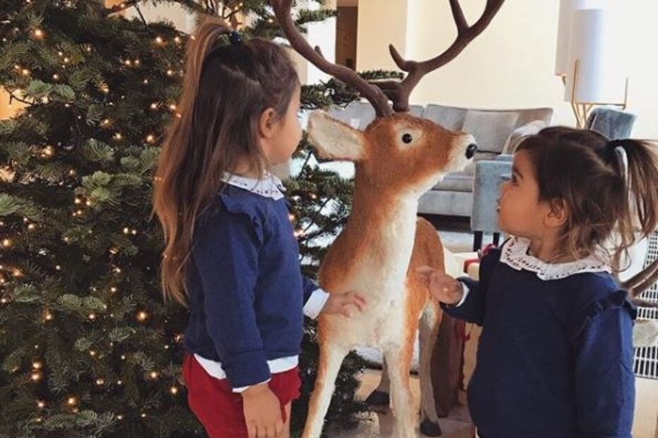 Carolina Patrocínio, Diana , Frederica, gonçalo uva