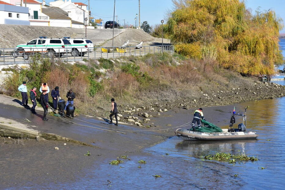 Redes ilegais apreendidas pela GNR em operação realizada no rio Tejo, na zona do Cartaxo