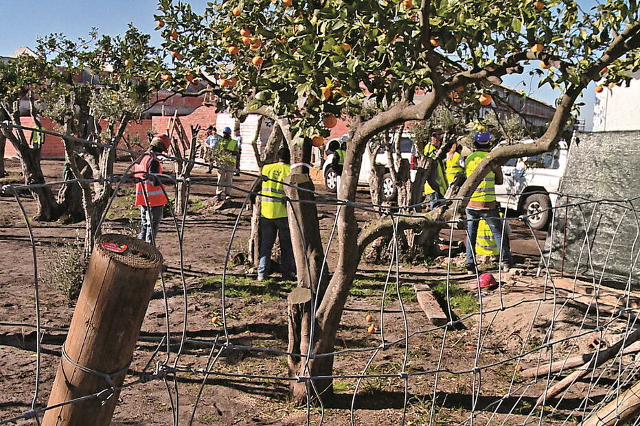 SEF, GNR e ACT estiveram em obra, na Comporta, e encontraram mais de 50 emigrantes