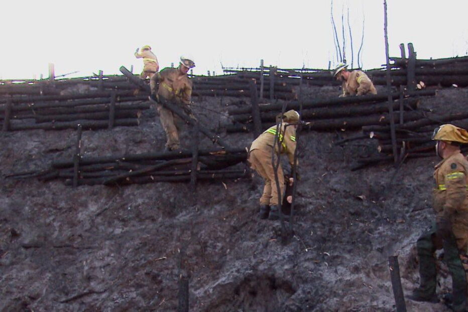 Ação do GIPS da GNR no Pinhal de Leiria