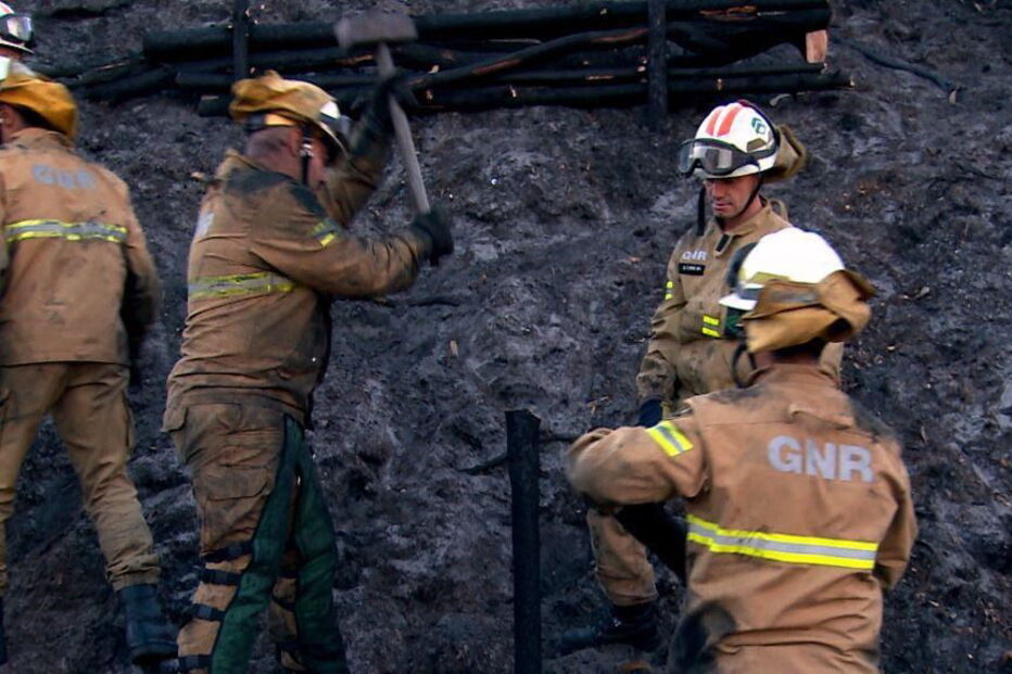 Ação do GIPS da GNR no Pinhal de Leiria