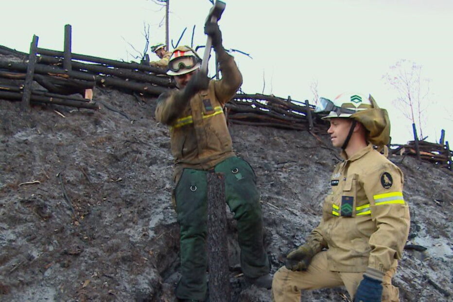 Ação do GIPS da GNR no Pinhal de Leiria