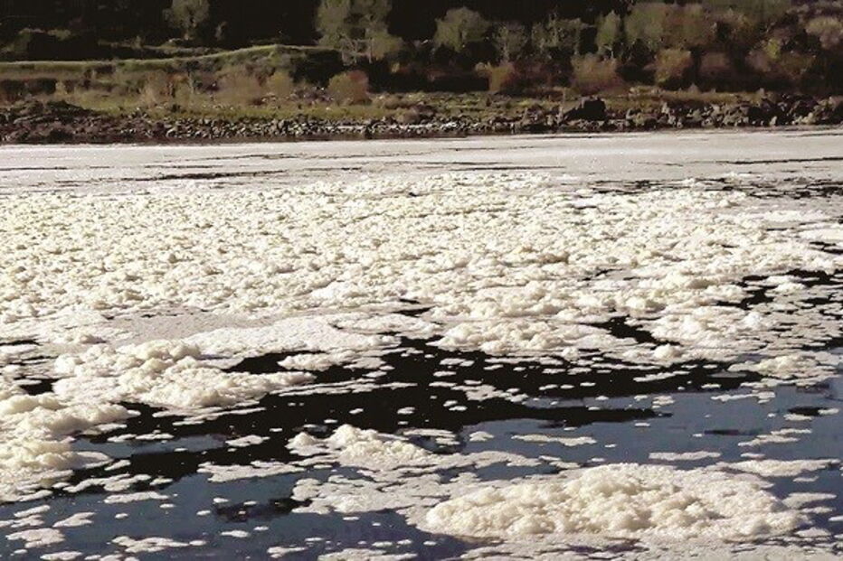 Poluição no Tejo é uma preocupação 
