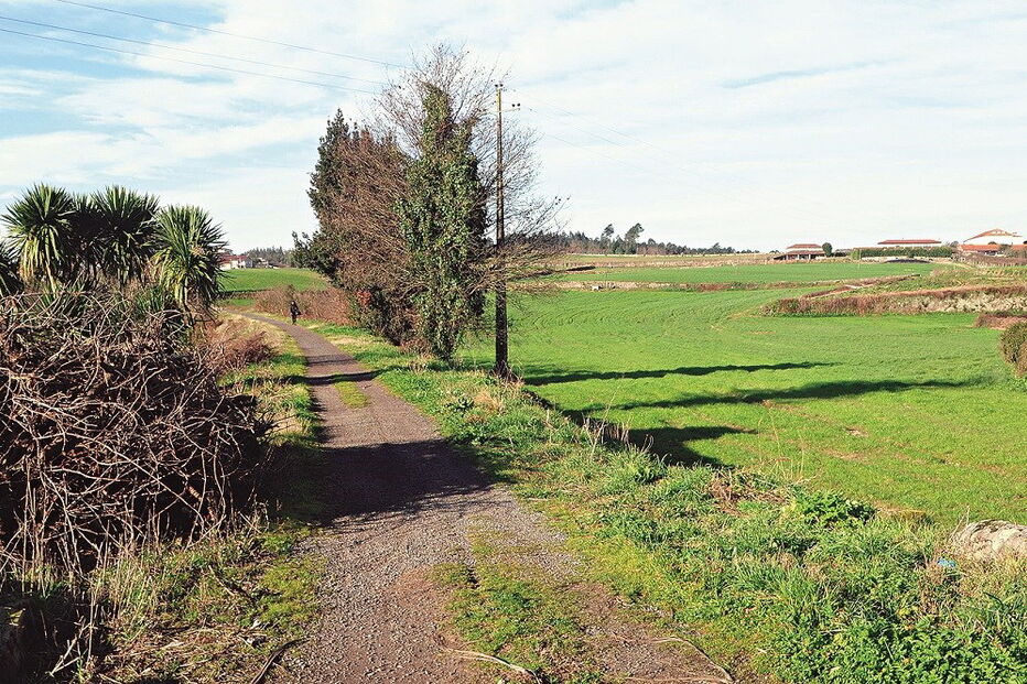 Via entre Famalicão e Póvoa