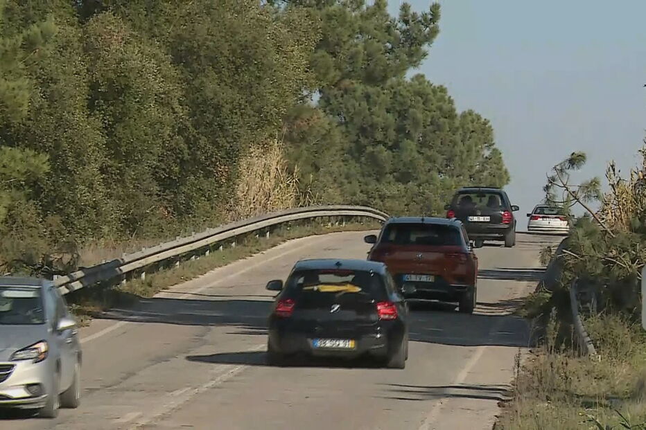 Foge após atropelar mortalmente homem em Palmela