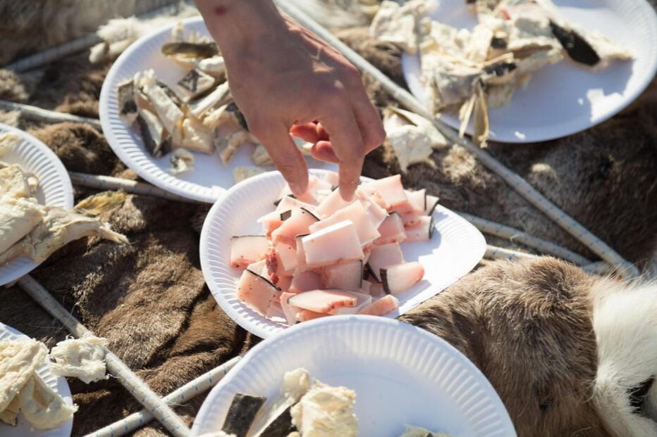 2017-12-23_17_06.27 Gordura de baleia na Groenlândia.PNG