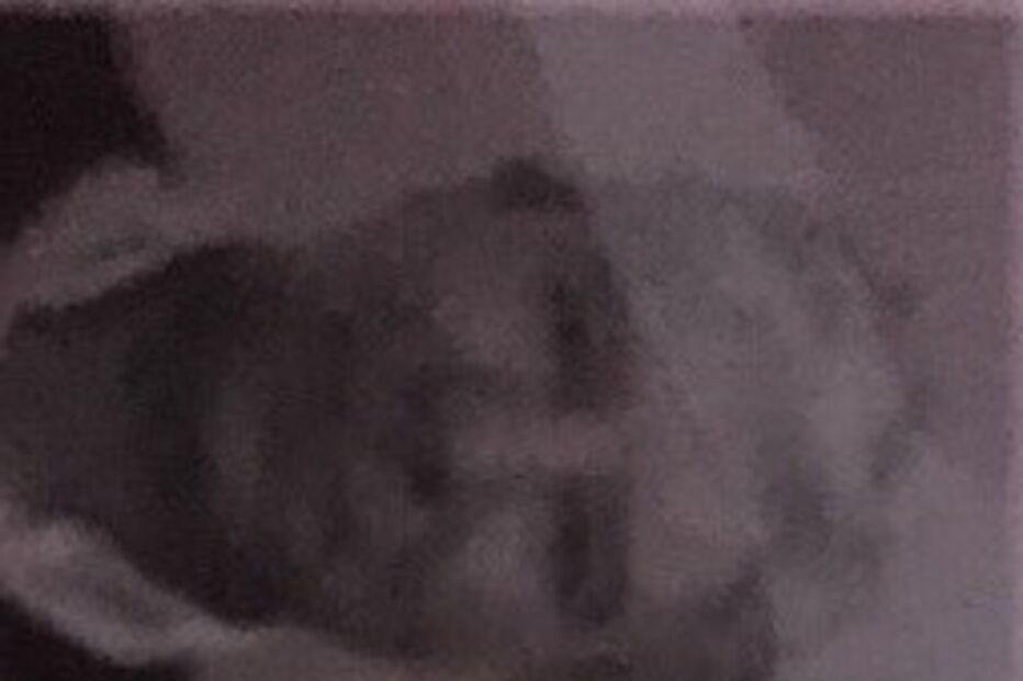 Fernando Melo tinha 52 anos