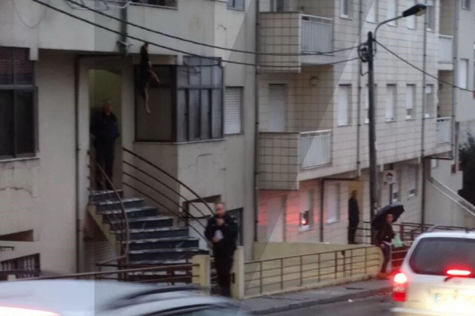 Cão morreu enforcado