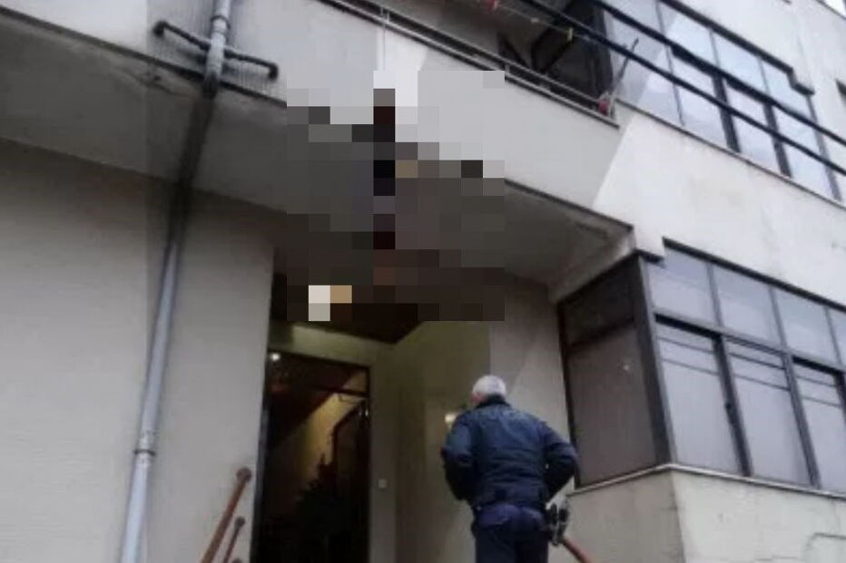 Cão morreu enforcado