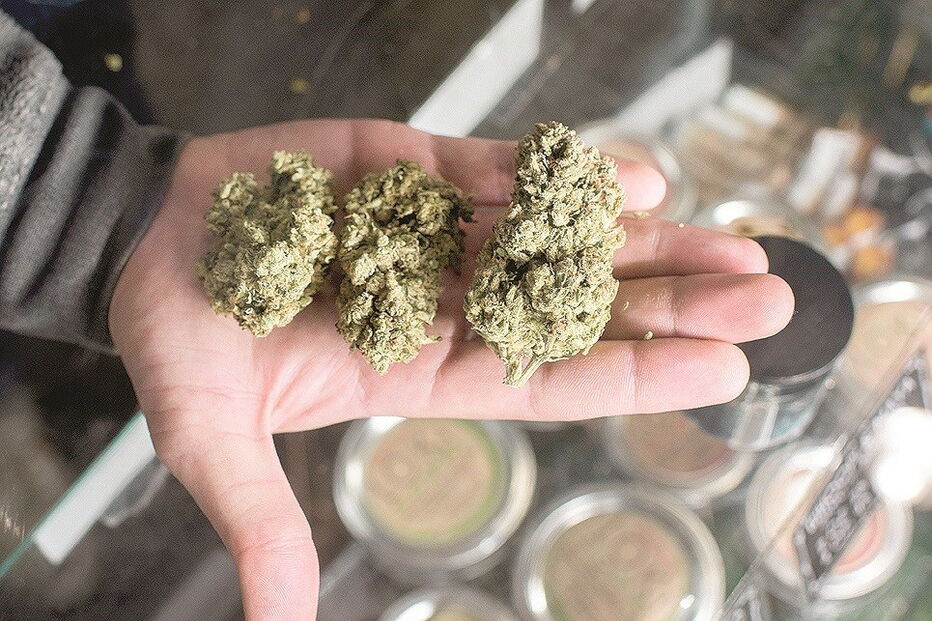 Califórnia é o oitavo estado dos EUA a liberalizar a venda de marijuana 