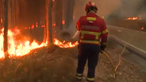 Mais de 100 bombeiros combatem fogo em zona florestal na Póvoa de Lanhoso