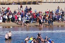 Populares salvam baleia que encalhou em Monte Gordo