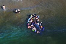 Populares salvam baleia que encalhou em Monte Gordo