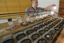 Venda de Canábis liberalizada na Califórnia