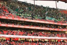 Presidente do Sporting vai assistir ao jogo de hoje dentro da caixa de segurança do estádio da Luz 
