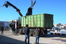 Cachalote acabou por voltar a dar à costa morto