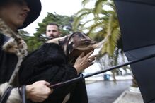 Maria das Dores regressou ontem à tarde à prisão acompanhada pelo filho, David Mota