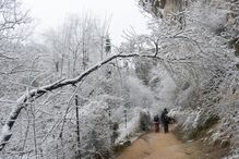 Neve gera caos nas estradas espanholas