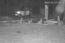 Homem abandona cão atirando-o sobre vedação