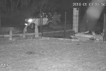 Homem abandona cão atirando-o sobre vedação