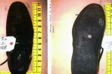 Provas do crime de Renato Seabra