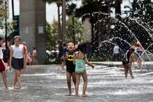 Vaga de calor na Austrália