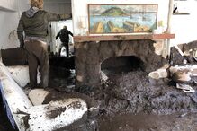 Lama mata na Califórnia 