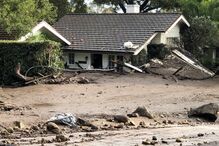 Lama mata na Califórnia 