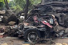 Lama mata na Califórnia 