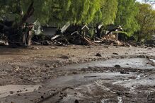 Lama mata na Califórnia 