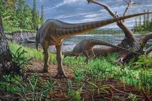 Dinossauro herbívoro