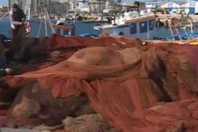 Pesca da sardinha em Olhão