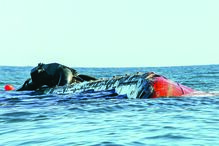 draga, mar, barra, algarve, trabalhadores, Armona, olhão    