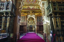 bibliotecas, livros, beleza, cultura