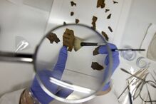 Manuscritos de pergaminhos do Mar Morto