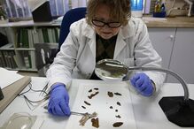 Manuscritos de pergaminhos do Mar Morto