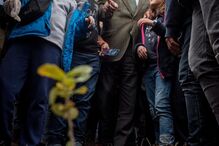 António Costa chama todos para reflorestar