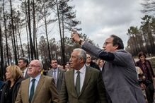 António Costa chama todos para reflorestar