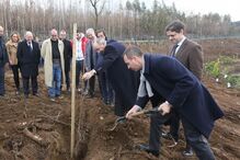Presidente do Sp. Braga mostrou-se bem-humorado no momento em que plantava uma árvore