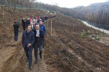 Presidente do Sp. Braga mostrou-se bem-humorado no momento em que plantava uma árvore