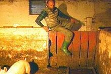 Robert Pickton confessou ter matado 49 prostitutas na sua quinta