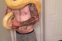 Dan tinha 10 cobras de estimação