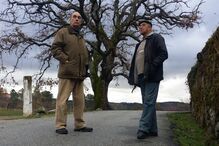 Árvore com 300 anos na Guarda