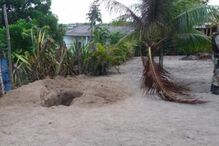 Cristina Amaral e o marido foram torturados e mortos por um gang juvenil